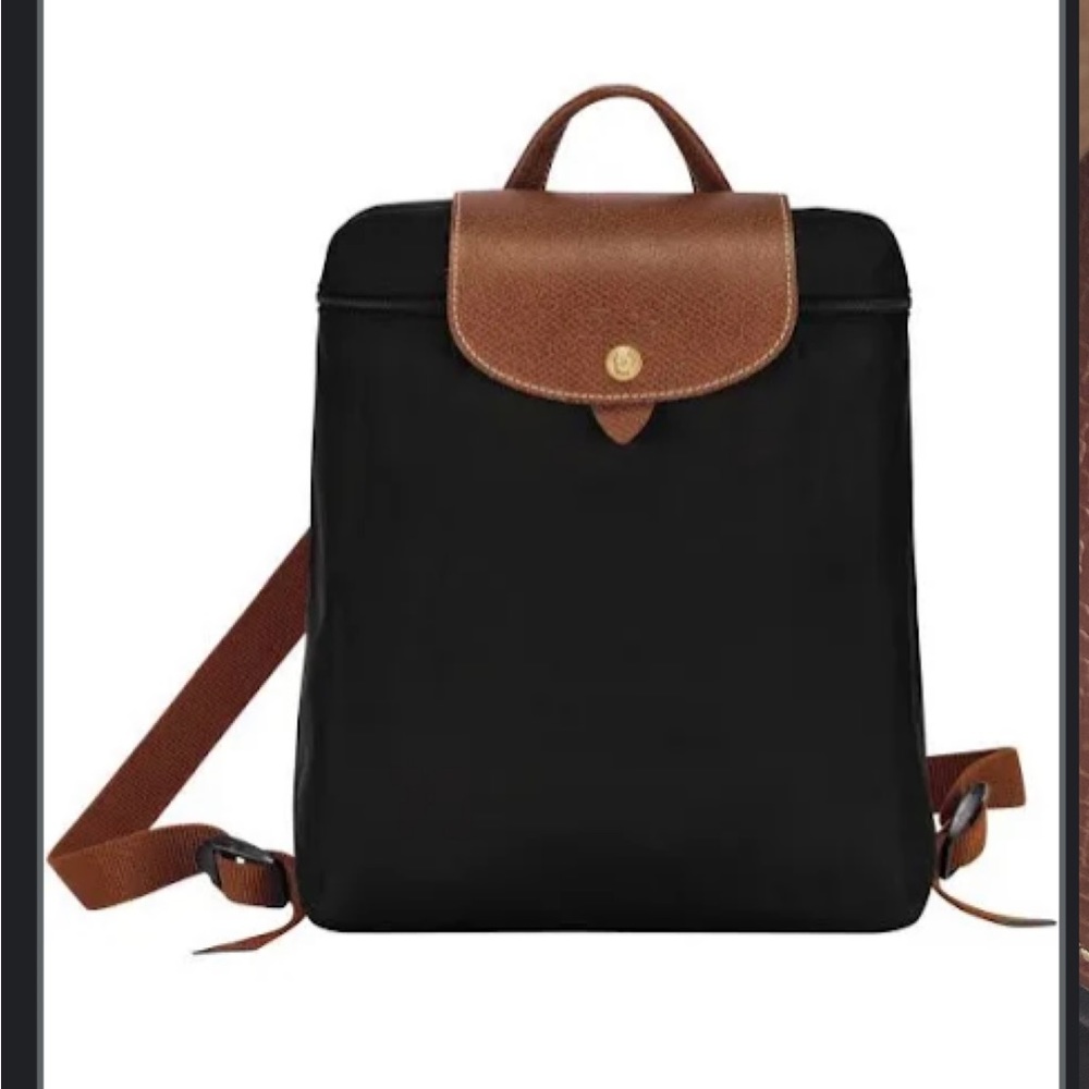Long champ mini backpack
